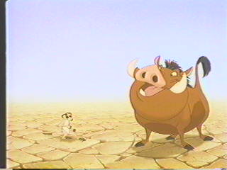 Pumbaa1.jpg (10523 bytes)