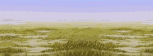 Nonsavannah2.jpg (65238 bytes)