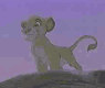 Simba2.1.gif (45953 bytes)