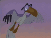 Zazu-1.jpg (164266 bytes)
